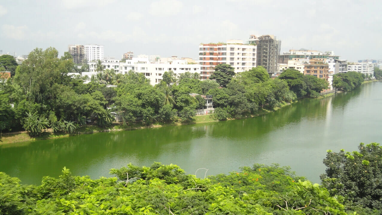 forsale/south-lake-view